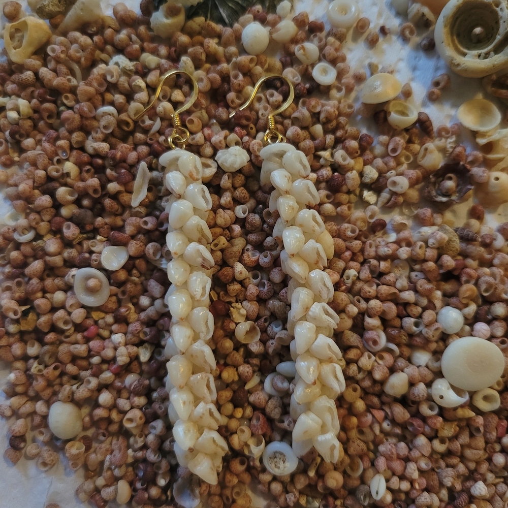 Momi Shell Earrings - image 3